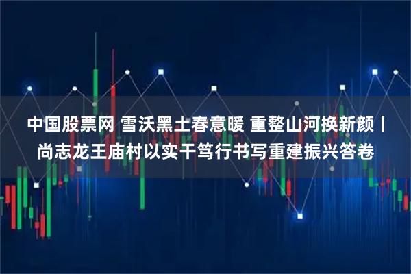 中国股票网 雪沃黑土春意暖 重整山河换新颜丨尚志龙王庙村以实干笃行书写重建振兴答卷